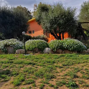 Stella Sulcitana , Gonnesa Italie